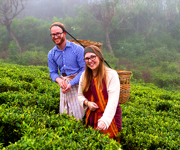 Rockbourne Bungalow, Bungalows in Sri Lanka, Tea estate Bungalows in Sri Lanka, Kandy Bungalows, colonial Bungalows in Sri Lanka, up country Bungalows in Sri Lanka, hill country Bungalows in Sri Lanka, Holidays Bungalows in Sri Lanka, Luxury villas in Sri Lanka,  villas in Sri Lanka